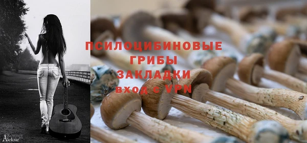 ECSTASY Белоозёрский