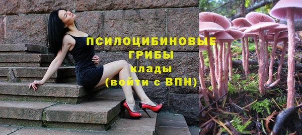 ECSTASY Белоозёрский