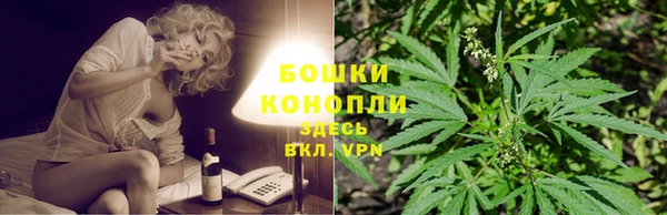 стаф Богородицк