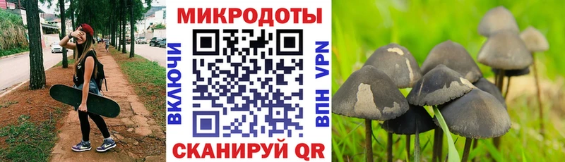 Псилоцибиновые грибы Magic Shrooms  Ковдор 